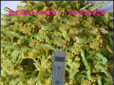 精準(zhǔn)把控水分，賦能品質(zhì)升級(jí) 中國高場能蔬菜水分儀與水果片水分測(cè)定儀全解析